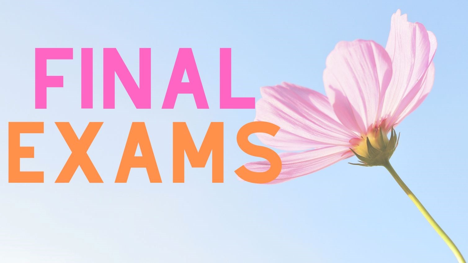 Final Exams